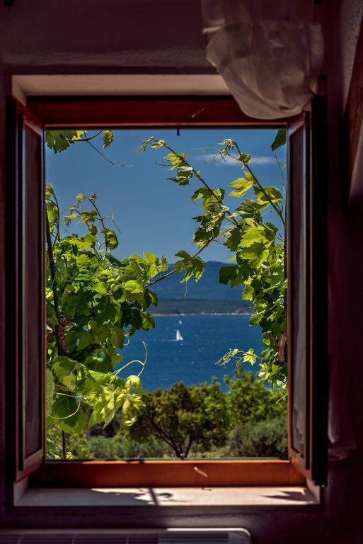 Holiday Home Vineyard House Bol Eksteriør billede